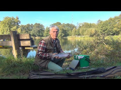 2018-10-10 Eine schöne Regenbogenforelle auf Power Bait / Flot regnbueørred på Power Bait