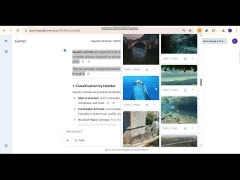 Item video thumbnail