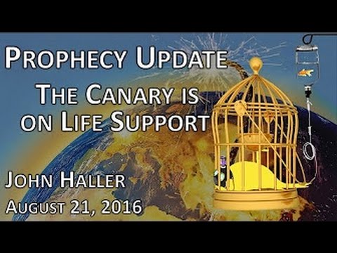 John Haller's Prophecy Update "The Canary is on Life Support" August 21 2016 – Andrew R