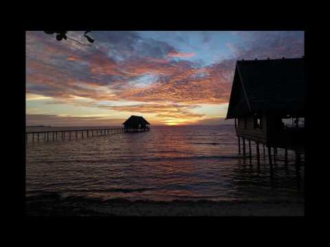 Fleyy x Uverlaw x Helion - Bouncin Bootie | FiFaMusic