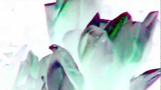 Black Swan - Look Up