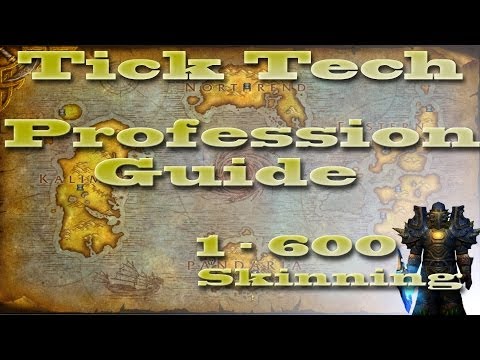 Skinning | 1 - 600 Guide