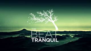 Little Daylight - My Life (Thugli Remix)