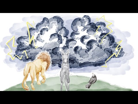 Aesop's fable of the ass and safe isolation