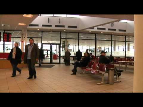 Das grüne Fragezeichen - Straßenverkehrsamt