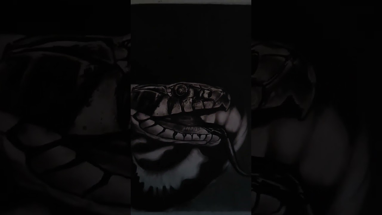 ||💥realstic snake sketch.💥||. #shorts. #short.