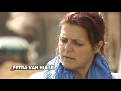 Corruptie 'normaal' in rechtbank Veurne   VTM NIEUWSvia torchbrowser com