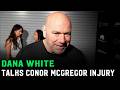 Dana White On Conor McGregor Vs Max Holloway 3 Who Knows By The Time Conor Comes Back