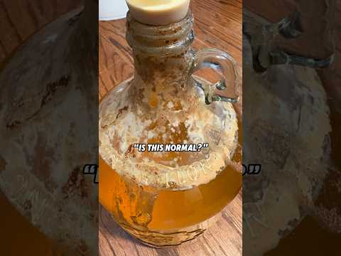 Homebrewing Basics 🍻 Part 1