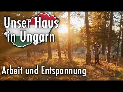 Hungary🇭🇺 | Removing cracks in walls💪🏻 | Renovating an old house🏠 | Hiking in nature😍