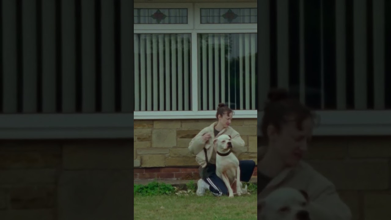 "Andrea Riseborough and Brenda Blethyn are at the top of their game" (Hollywood Reporter)