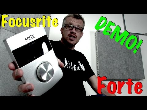 Focusrite Forte 2010s - Silver image 6
