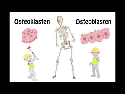 Valgusknie Entzündung des Großzehengrundgelenks beseitigen
