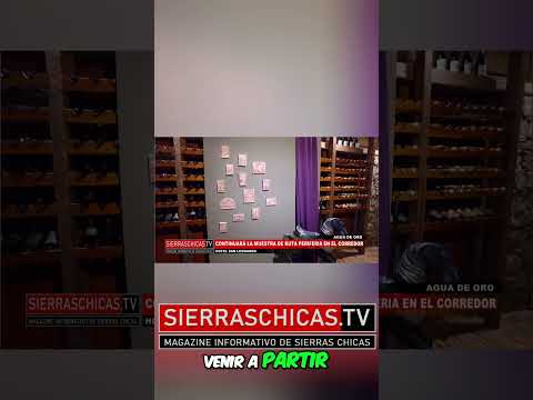 Descubre 'SalSiPuedes' - Arte y Cultura en Agua de Oro #sierraschicas #galeriasdearte  #cordoba