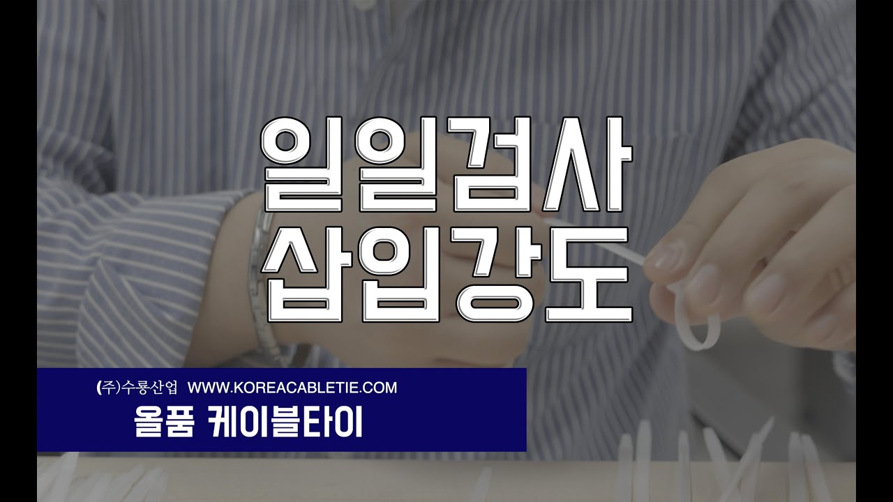 일일검사 01 - 삽입 강도