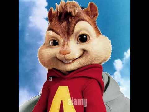 Perrea KTM - Alvin Y Las Ardillas