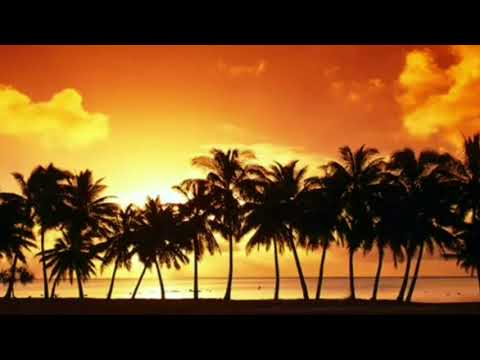 DẠ KHÚC - SERENADE Lời Việt Phạm Duy