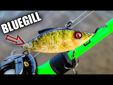 Watch CRAZY Night of Spring Bass Fishing *Bluegill Lipless Crankbait* Video  on