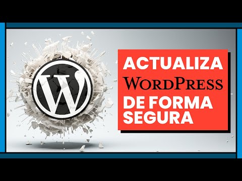  CMS vs MARKETPLACES ¿Qué son ¿Cuáles hay ¿Cómo seleccionar el que más te conviene