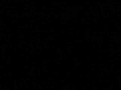 So Stereotypical by Max Williams