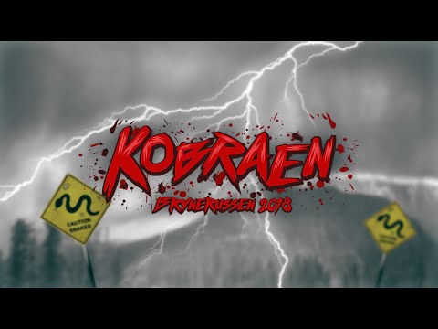 Kobraen 2018 - TIX, Moberg [Unofficial Lyric Video]