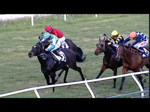 Napoli Galoppo 29/12/2022 - 2ª corsa