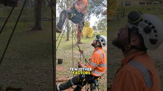 Download lagu how to rescue off a basal anchor {Needs a chicane.} mp3