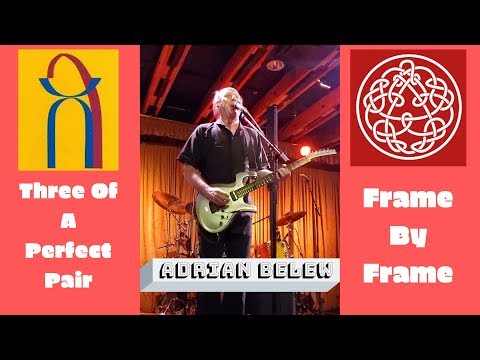 Live In A Tree video thumbnail