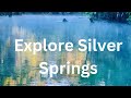 How To Paddle Silver Springs From Ray Wayside Park Exploring Is Fun