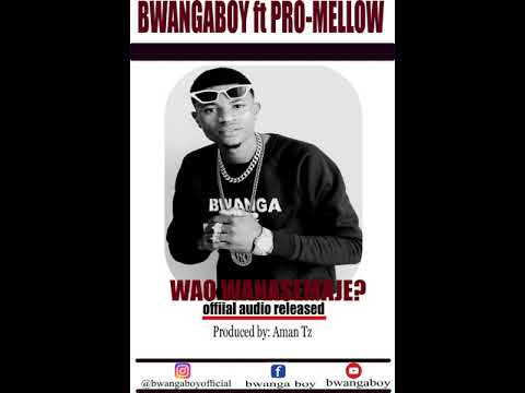 Bwanga boy ft Pro-Mellow  Wao wanasemaje? official audio