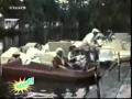 FUnny Bloopers