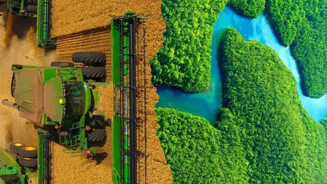 O QUE É RESERVA LEGAL? E APP? VEM ENTENDER COMIGO