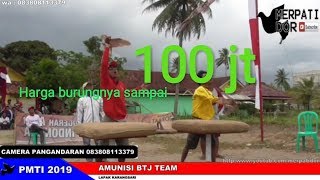 Download lagu AMUNISI TEAM BTJ DAR DER DOR (HARGANYA SAMPAI 100 JT) mp3 Download lagu AMUNISI TEAM BTJ DAR DER DOR (HARGANYA SAMPAI 100 JT) mp3