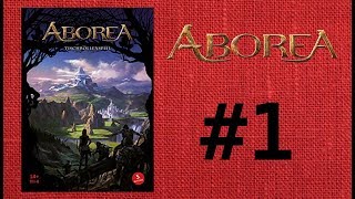 ABOREA: #1 Ein leichtes Einsteiger Rollenspiel. Das System, Zubehör und Spielerheft!