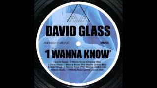 David Glass - I Wanna Know (Phil Weeks Ghetto Mix)