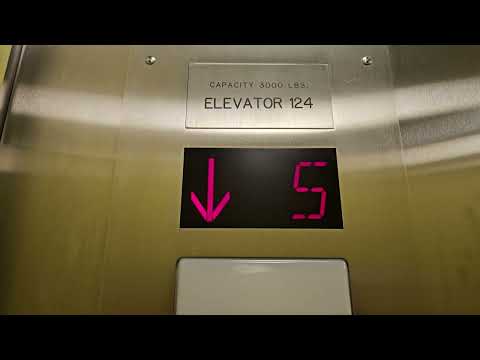 2023: Modded 1968 Otis BD Traction B Elevator | UW Padelford Hall | Seattle WA