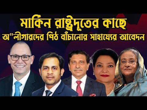 মার্কিন রাষ্ট্রদূতের কাছে আওয়ামী লীগের পিঠ বাঁচানোর সাহায্যের আবেদন #Nazmul_Hasan #New_York_Voice