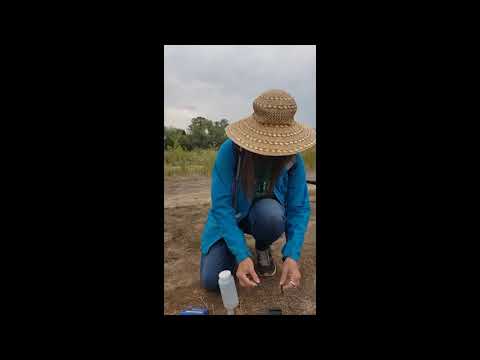 Amy May from Tree Utah tests the Waters