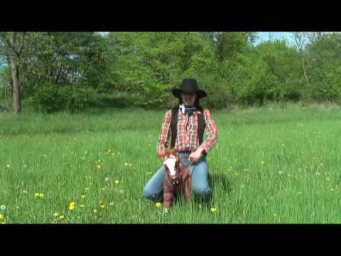 ein Cowboylied (late night edition)