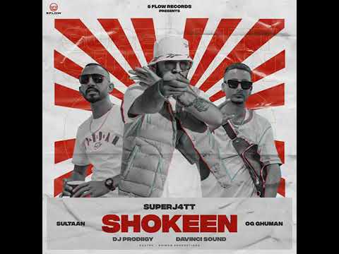 Shokeen | Sultaan (feat DJ Prodiigy X Davinci &O.G Ghuman) official Punjabi Song 2020