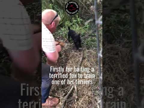 𝗙𝗼𝗿 𝗙𝗼𝘅 𝗦𝗮𝗸𝗲! 𝗣𝗿𝗼-𝗵𝘂𝗻𝘁𝗶𝗻𝗴 𝗧𝗲𝗹𝗲𝗴𝗿𝗮𝗽𝗵 𝗦𝗰𝗼𝗿𝗲𝘀 𝗔𝗻 𝗢𝘄𝗻 𝗚𝗼𝗮𝗹️‼️