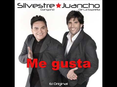 Me Gusta Silvestre Dangond