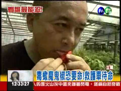 挑戰世界最辣! 百萬名車開回家