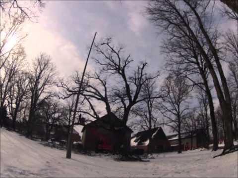 Astrein-Baumpflege - Rückschnitt einer alten Linde in Groß Buchwald / Dorfplatz