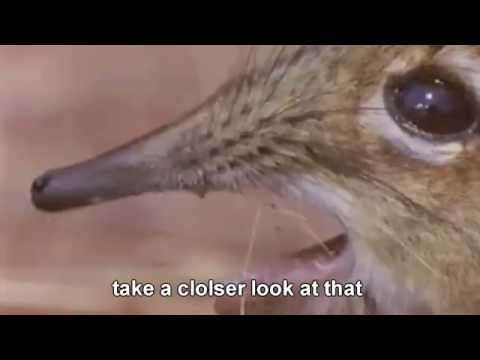 take a closer look at that smams