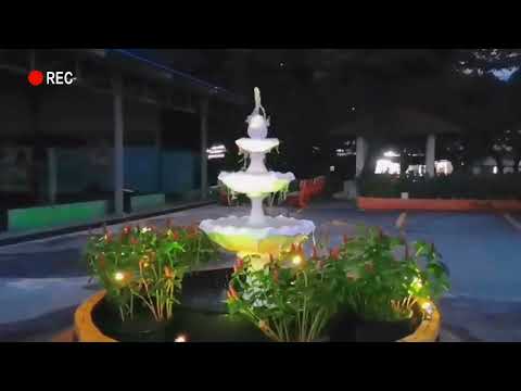 Water Fountain in Chin Woo National Type Primary School 精武国民型小学喷水池 Fountain di Sekolah Rendah Jenis Kebangsaan Chin Woo