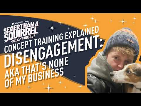 Concept Training Explained: Disengagement