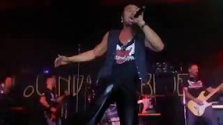 Dinosauro - Litfiba - Alex Alberti &amp; Sindrome Litfiba Special Tribute Band