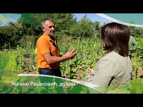 Srpski domaćin ep. 85 23.09.2021. NAJAVA