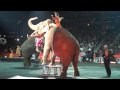 Ringling Bros And Barnum Bailey Elephants